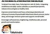Mahindra bharti