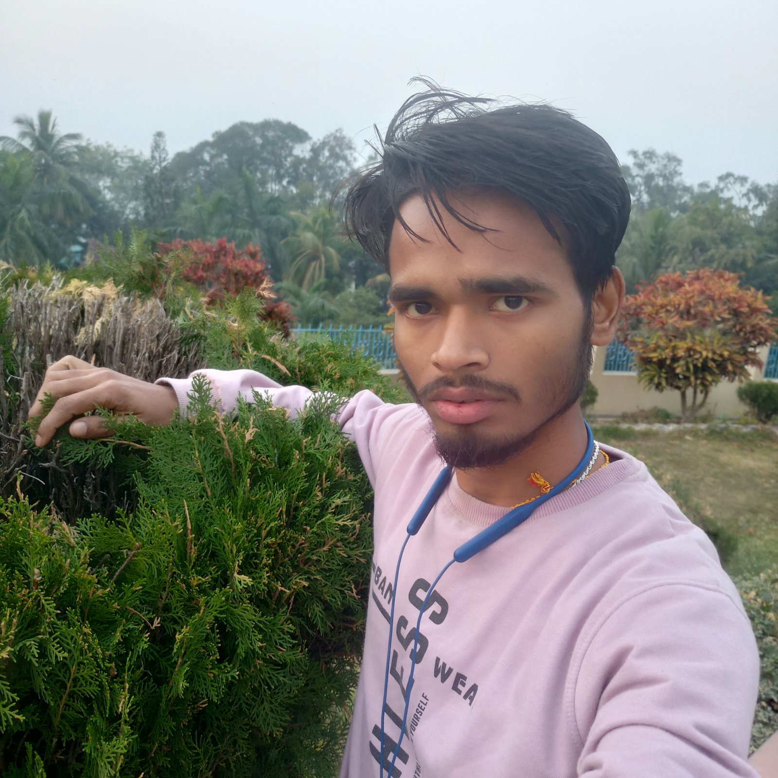 No Image